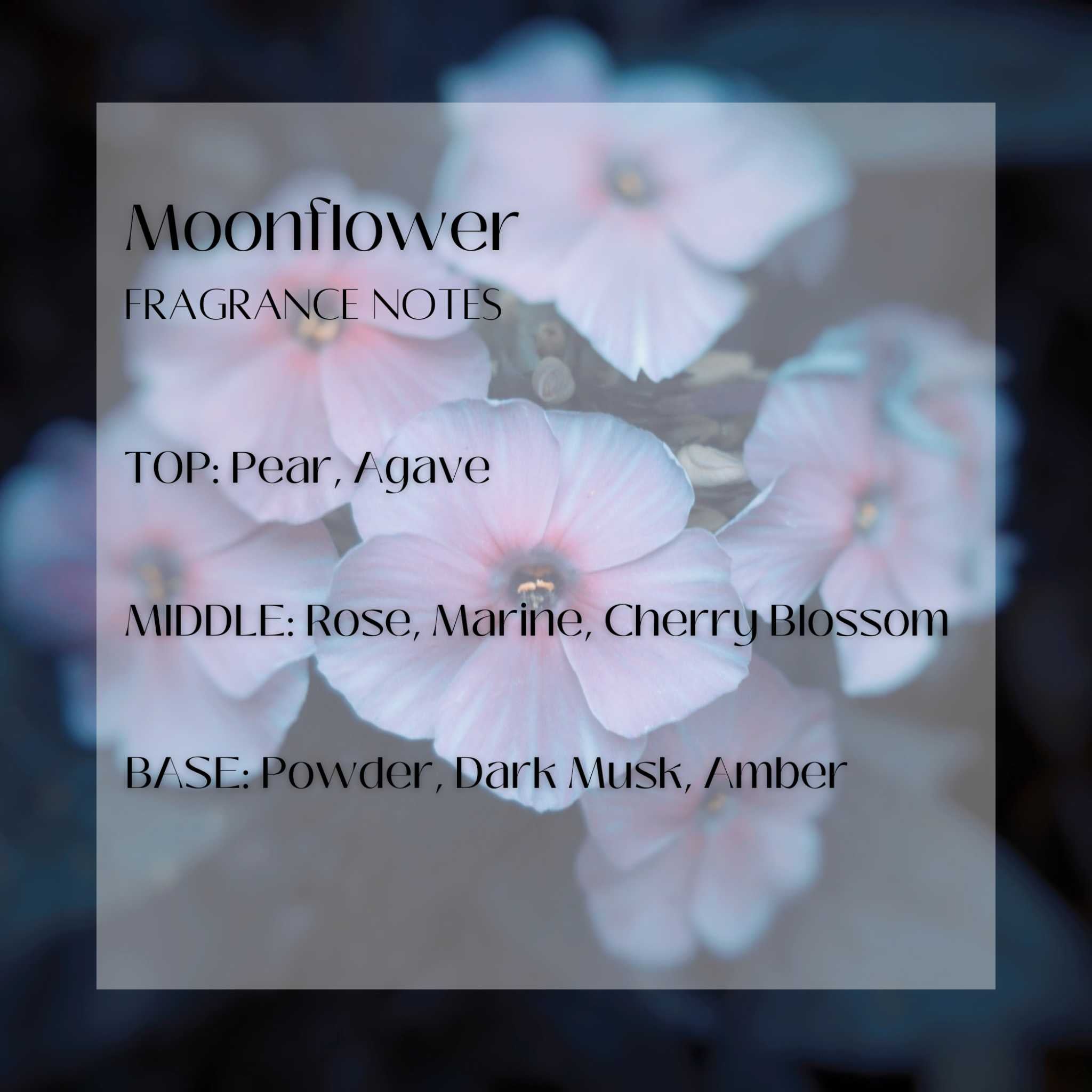 Moonflower Black Candles